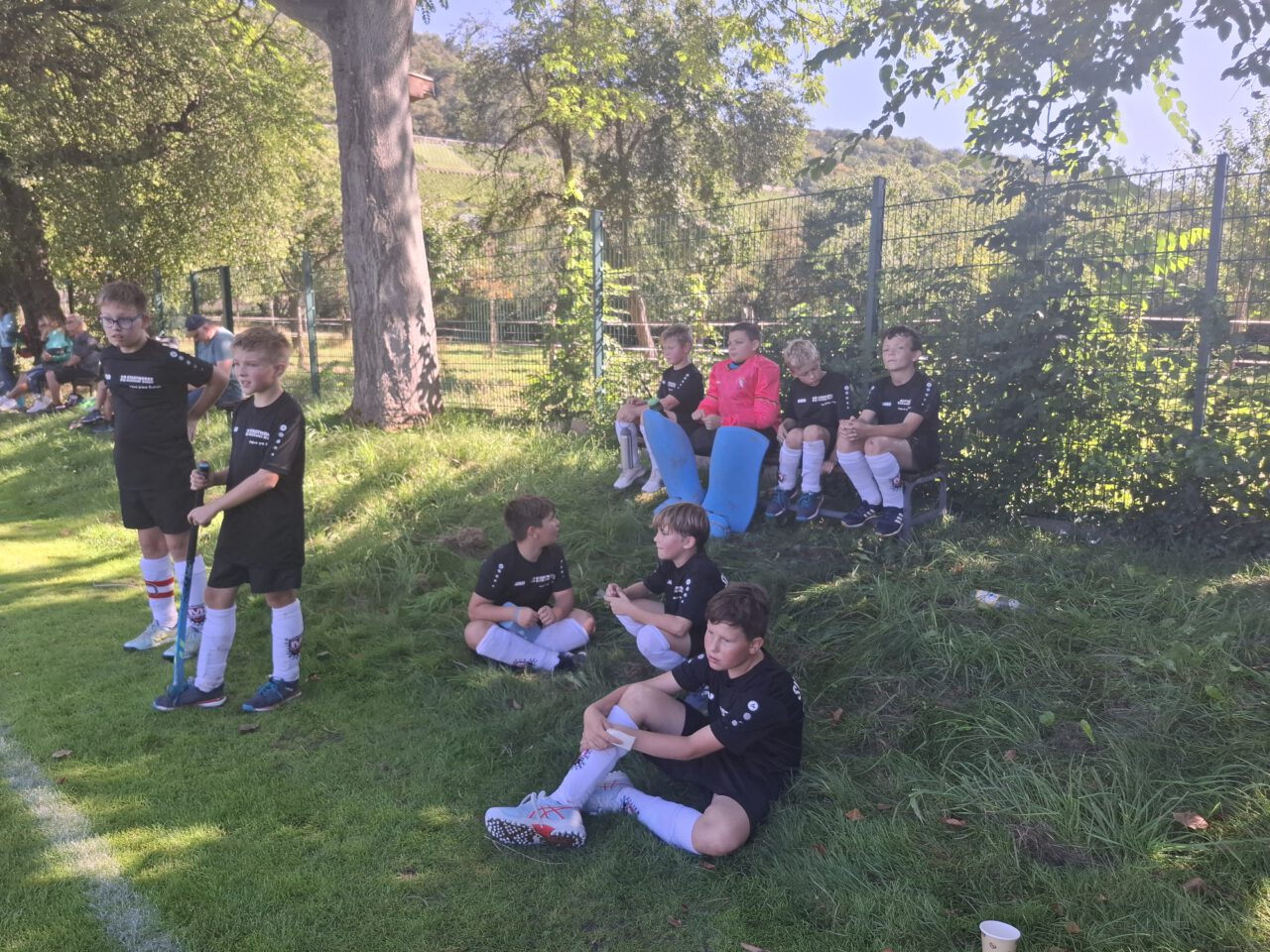 mu 12 in Pillnitz