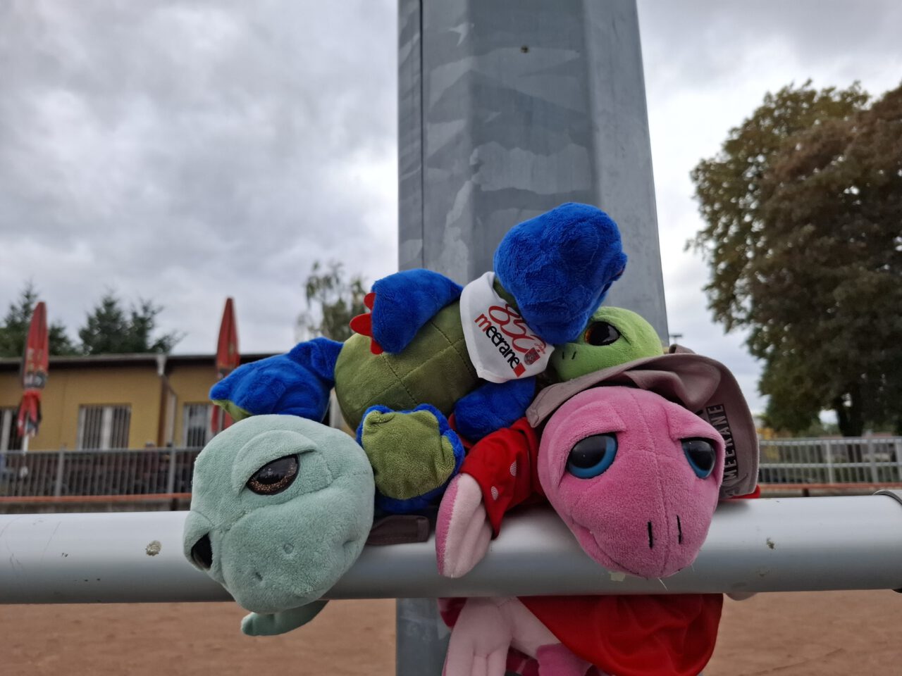 Spielbericht – Letzter Spieltag wu 10 in Dresden Spielbericht – Letzter Spieltag wu 10 in Dresden